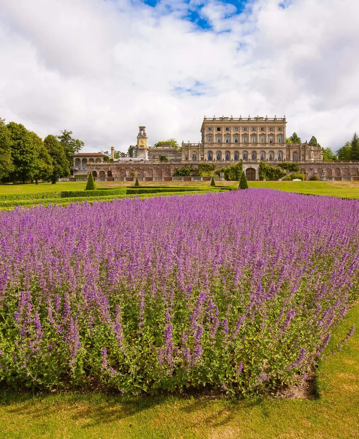 A four-poster suite with a parkland view