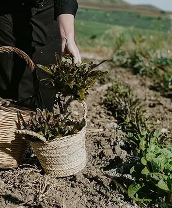 Farm-to-Table, in the Granary.