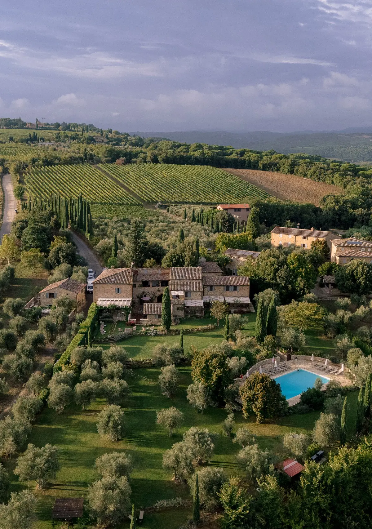 An Umbrian estate from the air, its olive terraces and pool running to the horizon