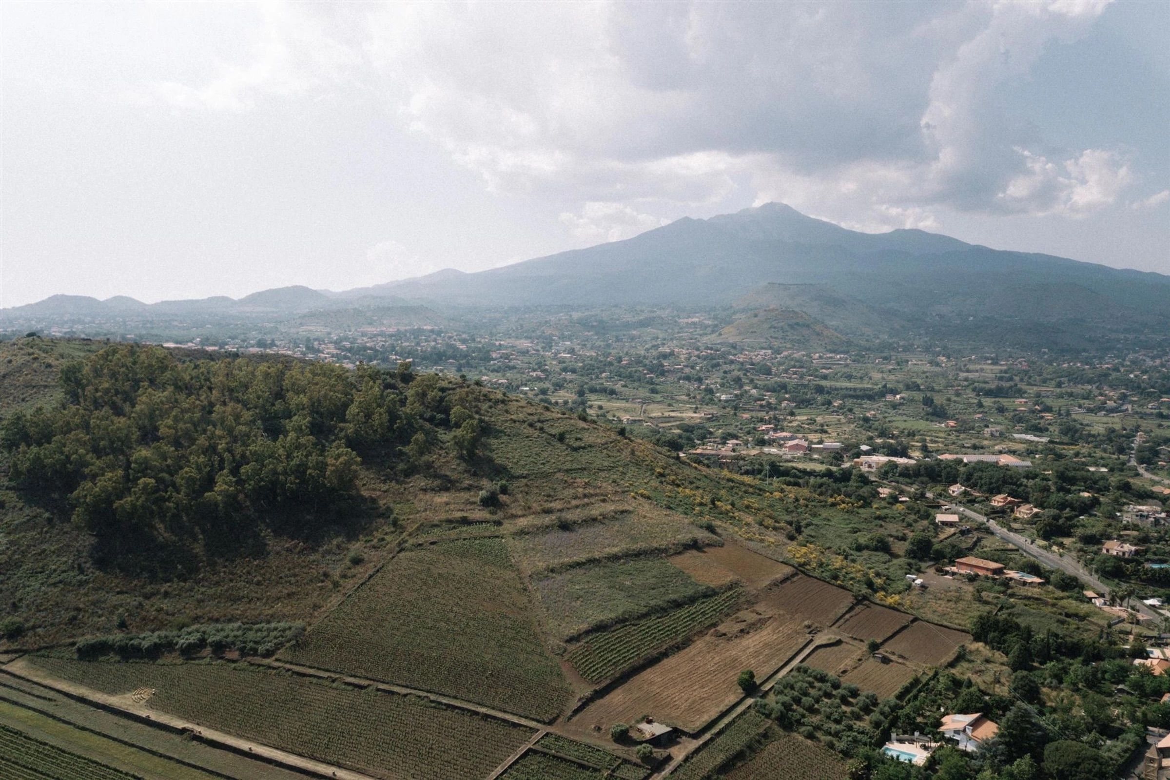 Aerial view over Etna's lower slopes: vineyard terraces, olive groves and the town of Viagrande spread beneath the volcano's summit