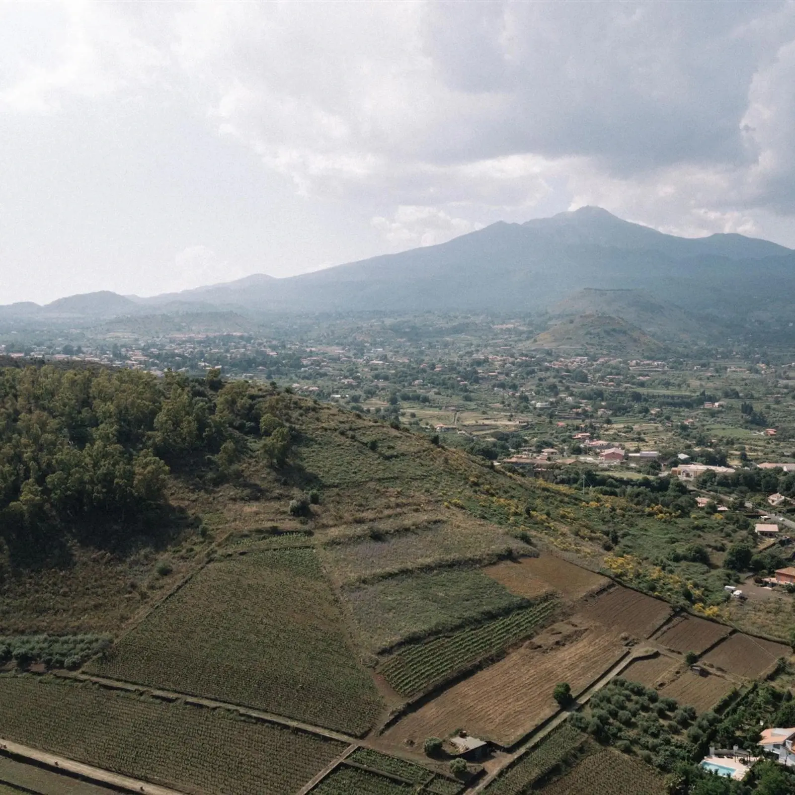 A Sicilian Vocabulary, Not a Generic One.