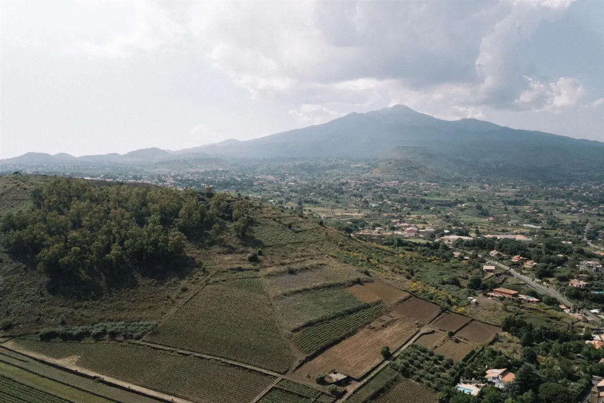 Aerial view over Etna's lower slopes: vineyard terraces, olive groves and the town of Viagrande spread beneath the volcano's summit