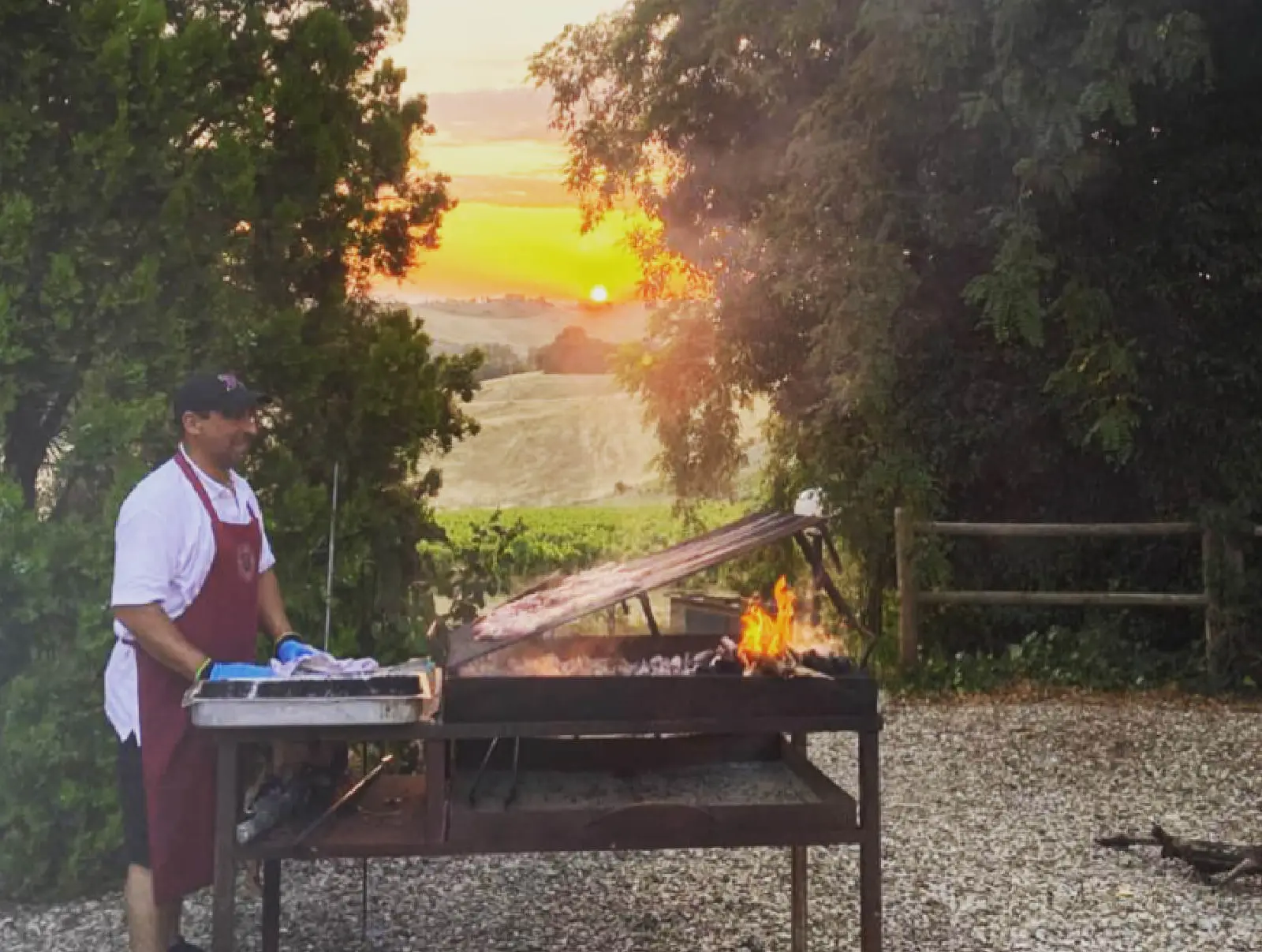 Organic Feasts From the Estate.