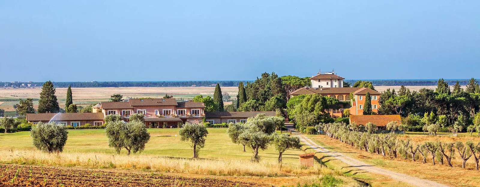 The Maremma countryside at dusk from a Tuscan estate