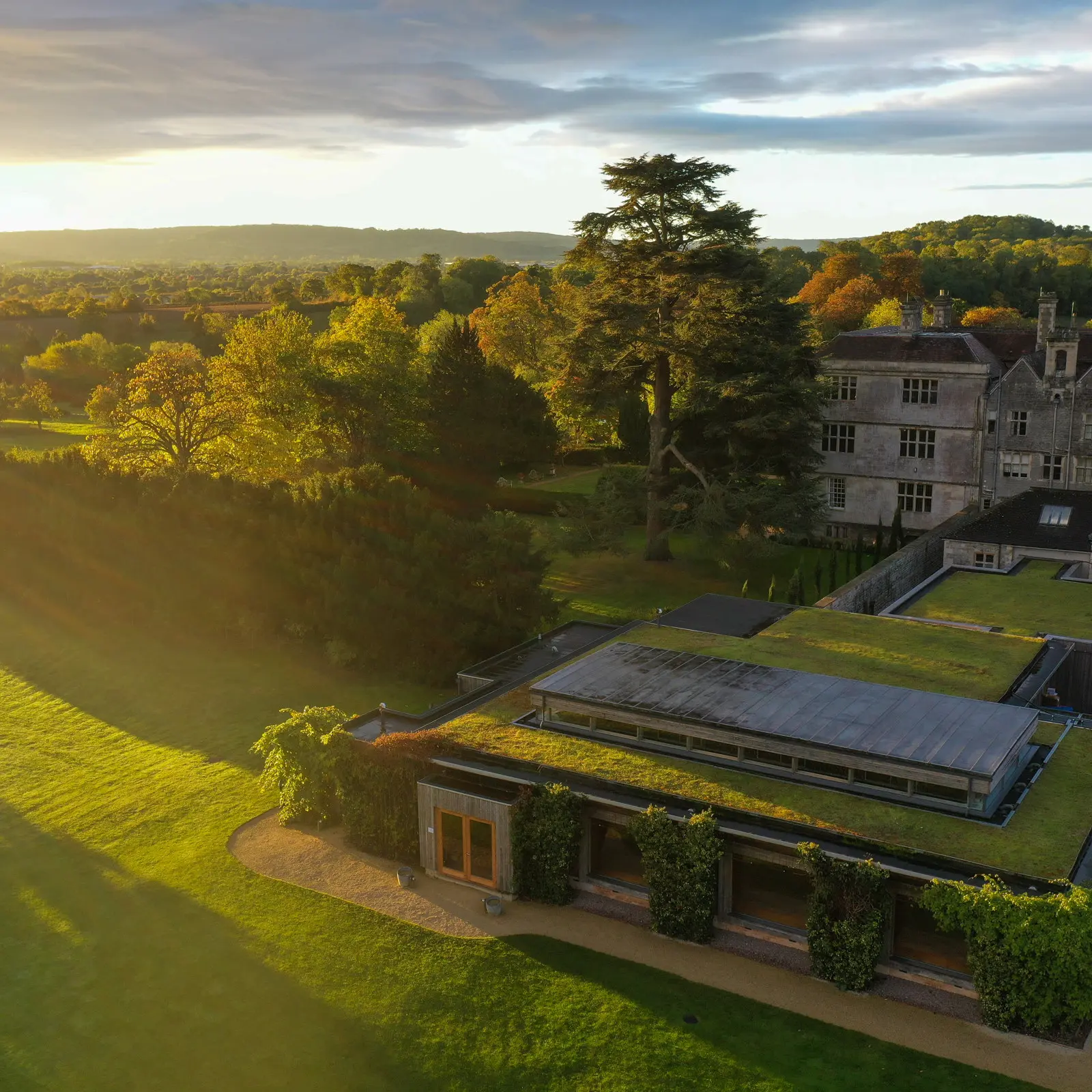A Wedding on a Rewilding Estate.