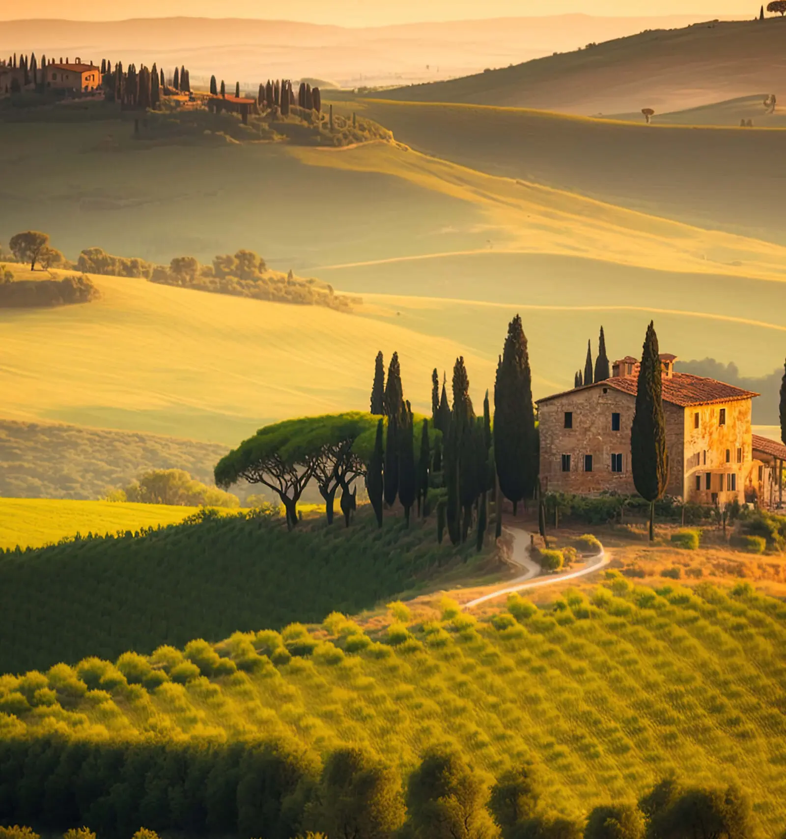 In a UNESCO Landscape, South of Siena.