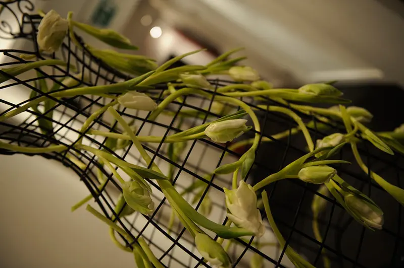 Tulips dressed on a wire mannequin form, a nod to Rebecca's background in theatre, Rebecca Mays, London, England