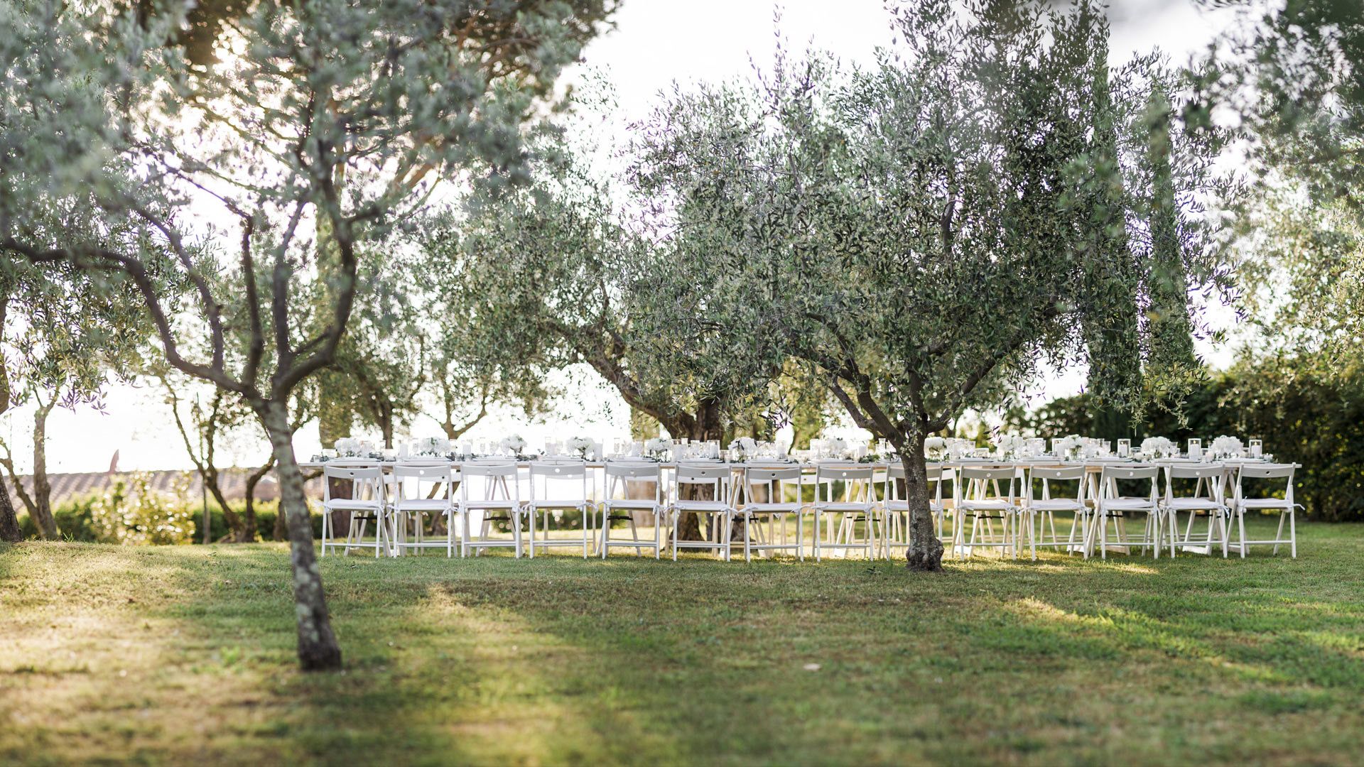 A Ceremony in the Olive Grove