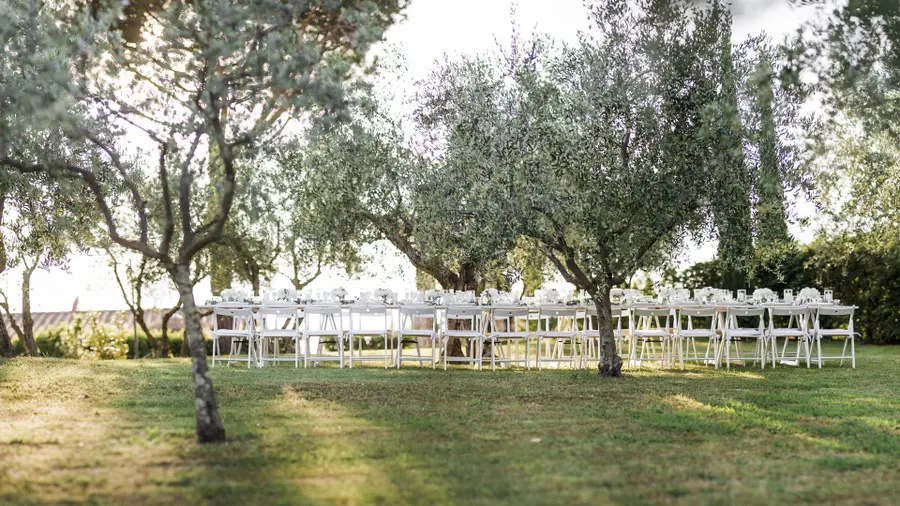 A Ceremony in the Olive Grove