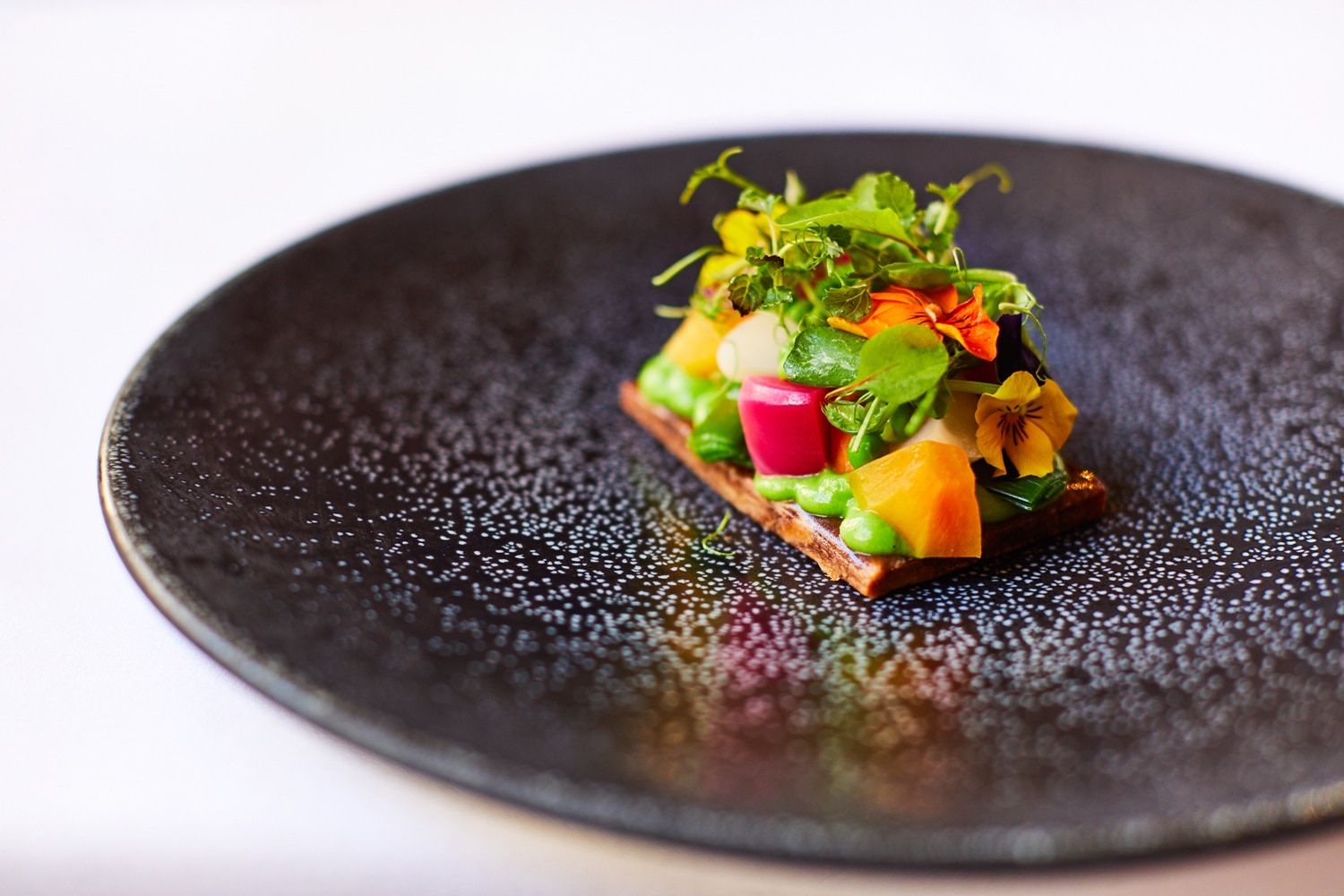 A plated first course of garden vegetables on a dark ceramic plate