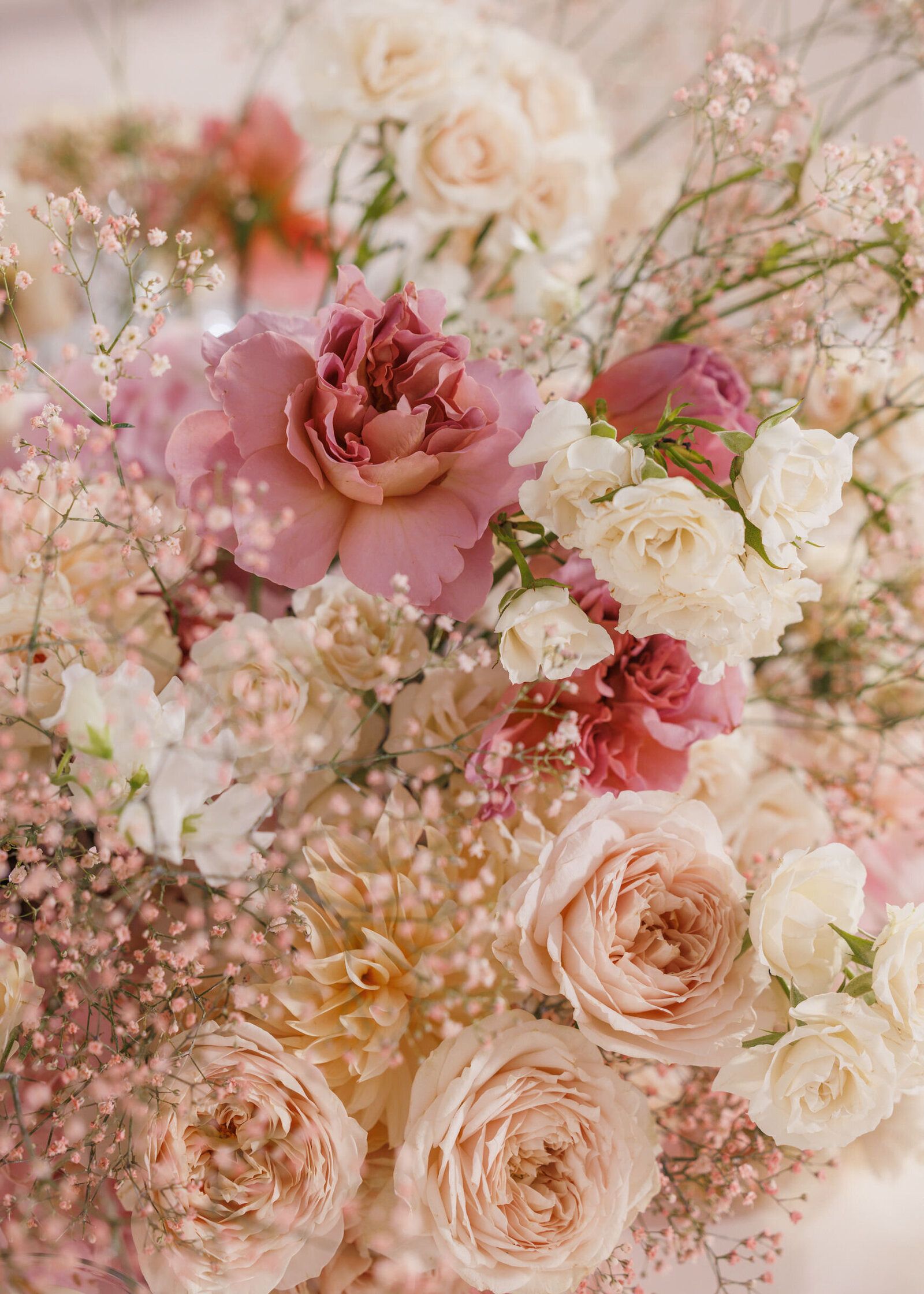 Patrizia Cilli Events