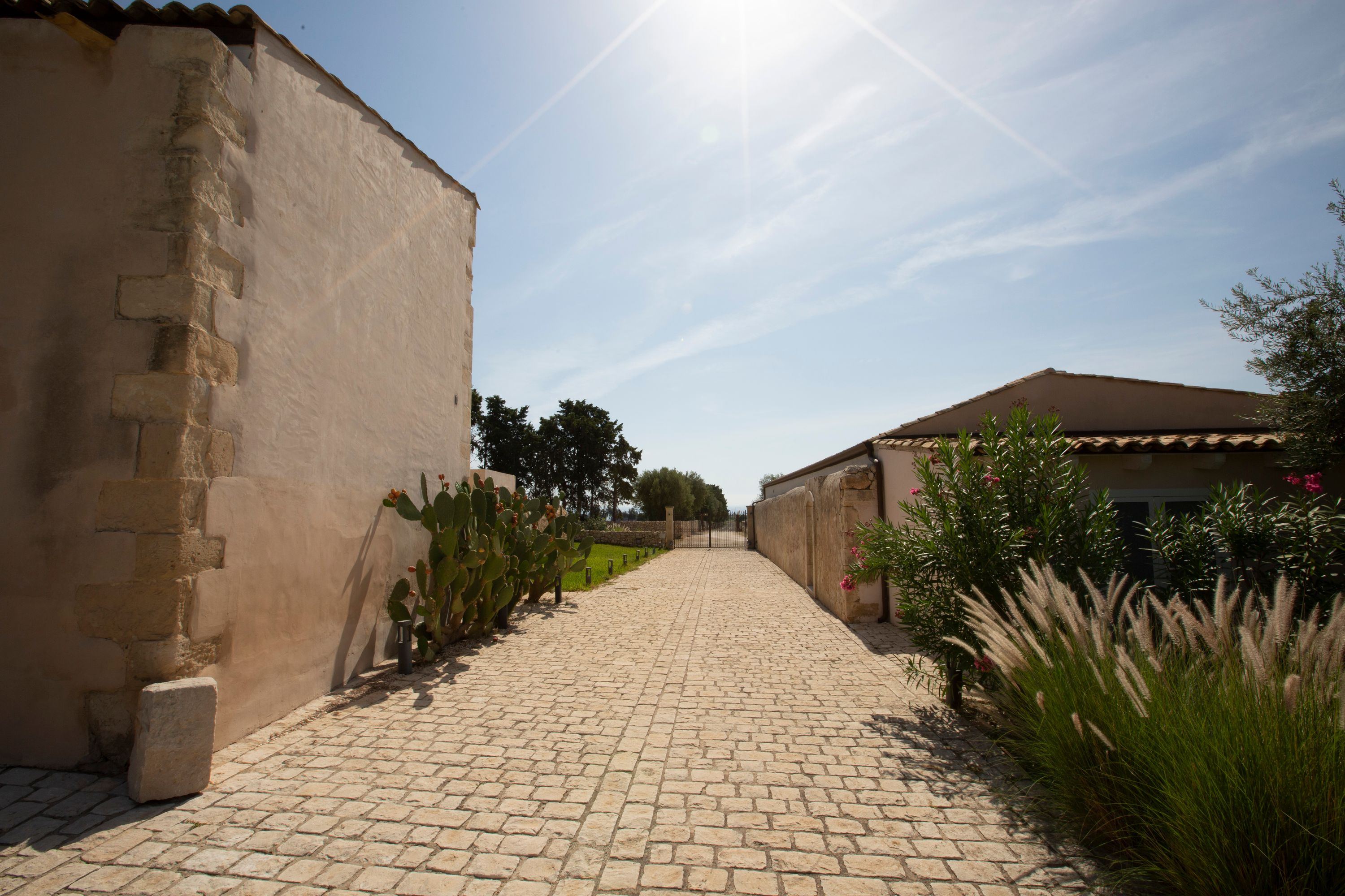 The cypress-lined approach to the estate by day, Ballium Luxury Relais, Avola, Italy