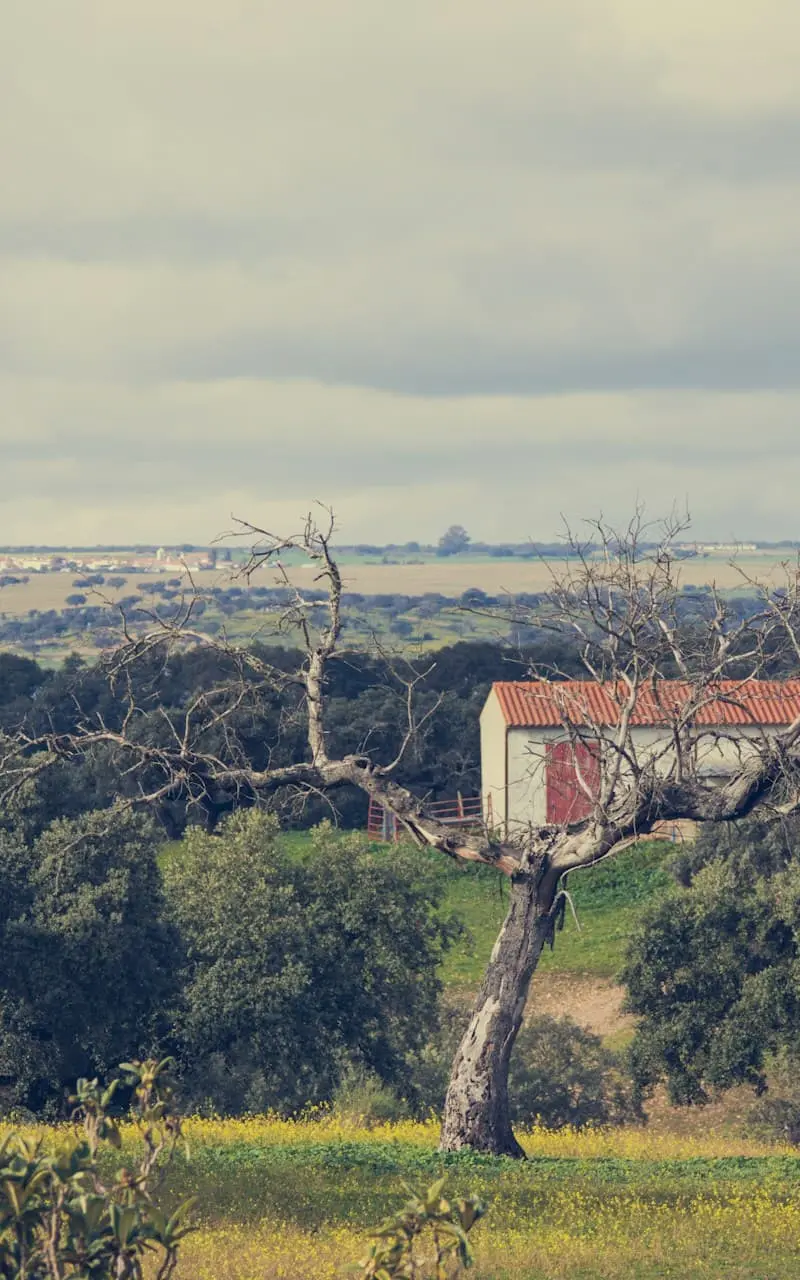 Alentejo