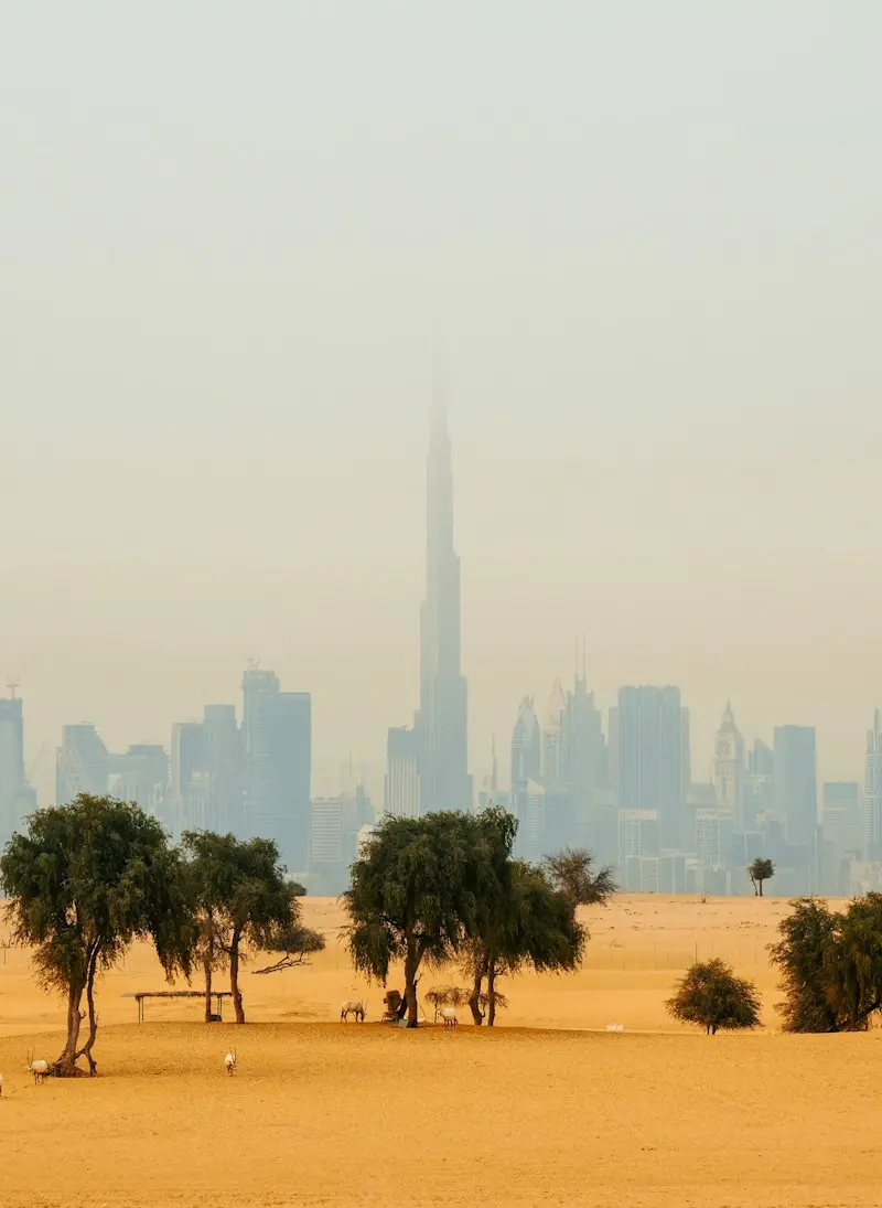 Dubai Desert