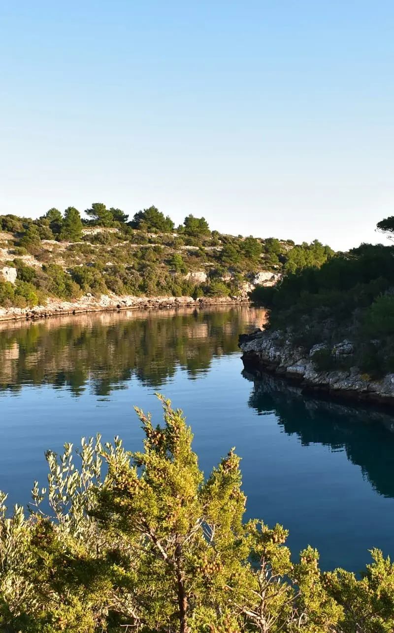 Brač