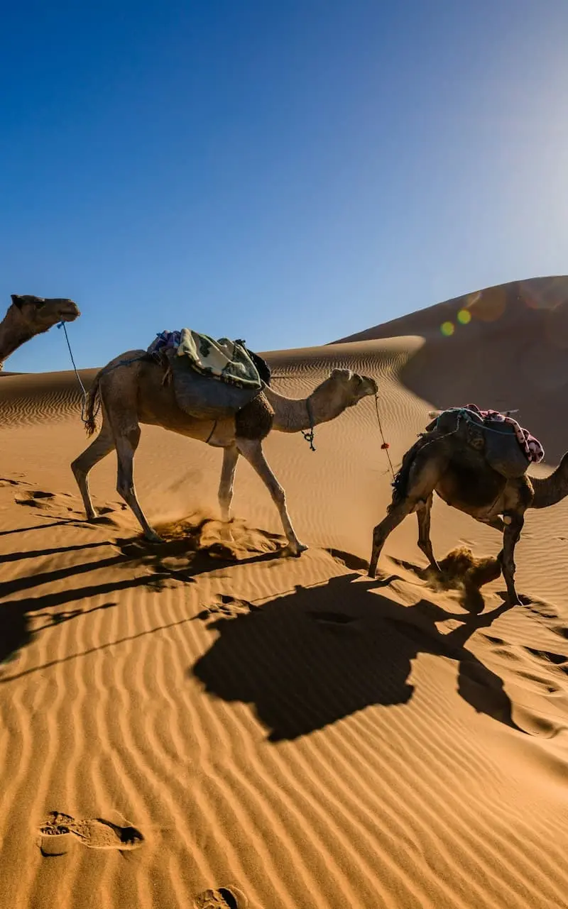 Marrakech