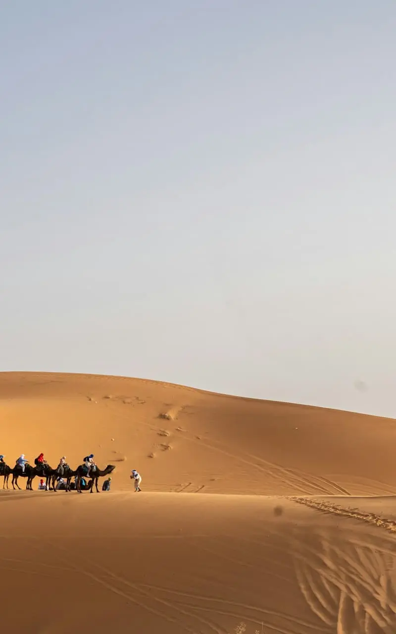 Sahara & Merzouga