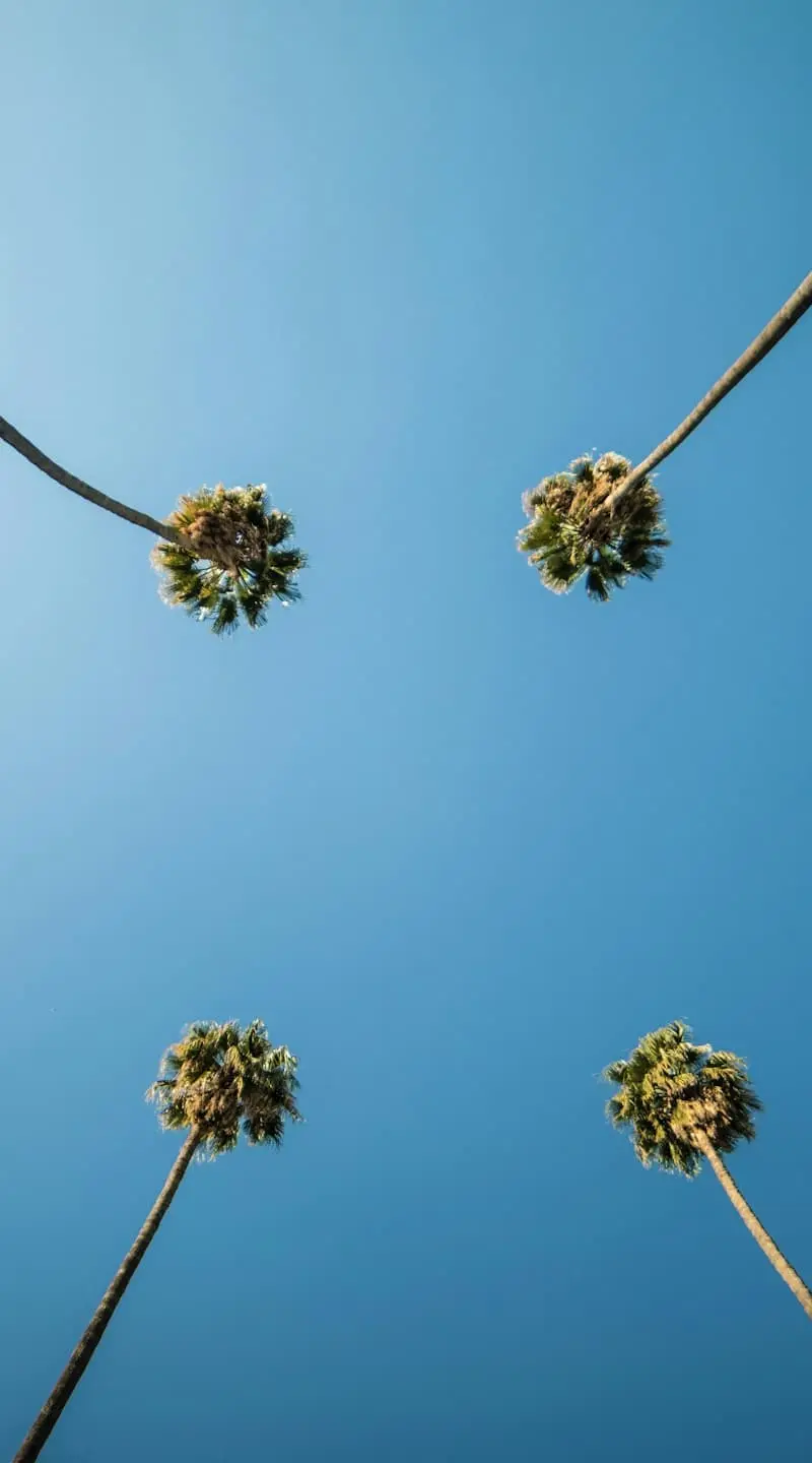 Los Angeles