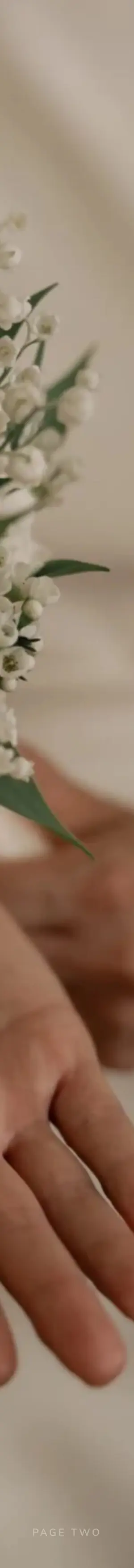 p2